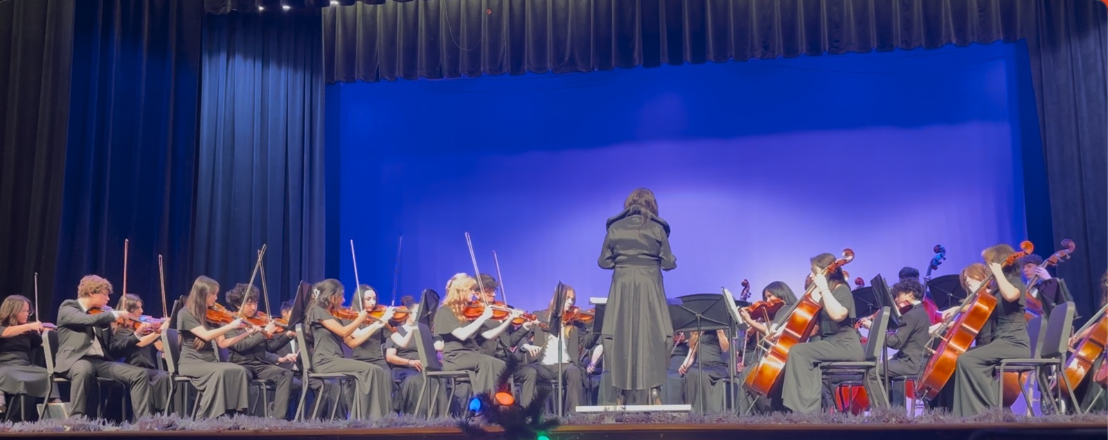 Philharmonic Orchestra performing at Winter Concert